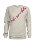 Beige sweatshirt with 'delta sigma theta' and '1913' printed in red on a white background