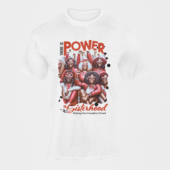 Delta Sigma Theta Power In Sisterhood Short Sleeve T-Shirt