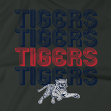 Load image into Gallery viewer, Jackson State Univerity Tigers Retro Striped Sweatshirt
